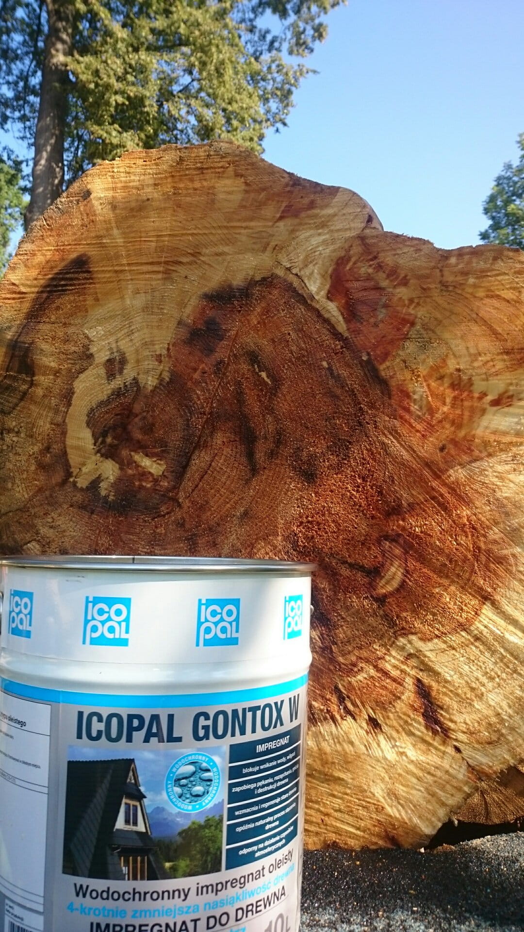 Impregnat do drewna bezbarwny rozpuszczalnikowy Icopal Gontox W